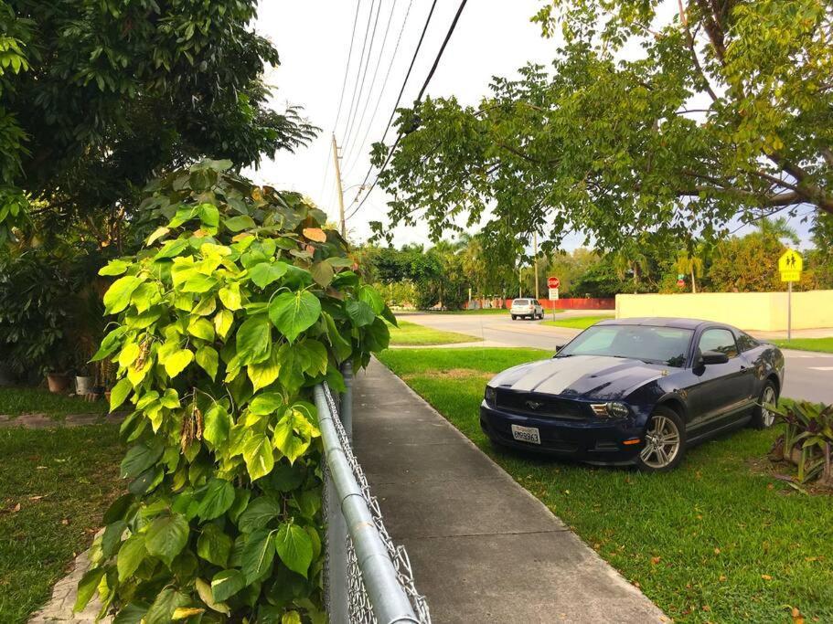 Miami Bungalow Oasis Near Everglades & The Keys Cutler Bay Exterior photo